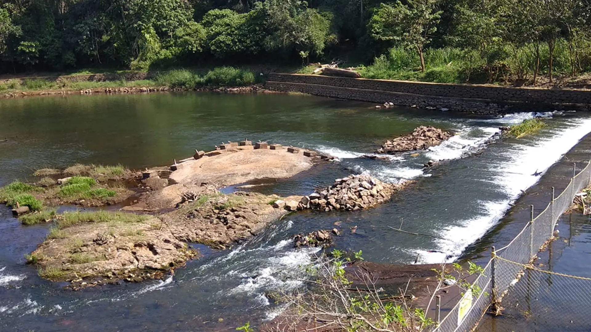 Achankovil River & Backwaters view