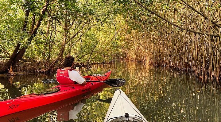  Achankovil River & Backwaters Kollam images