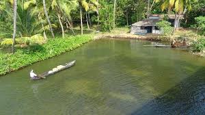 The most popular tourist attractions in Kerala