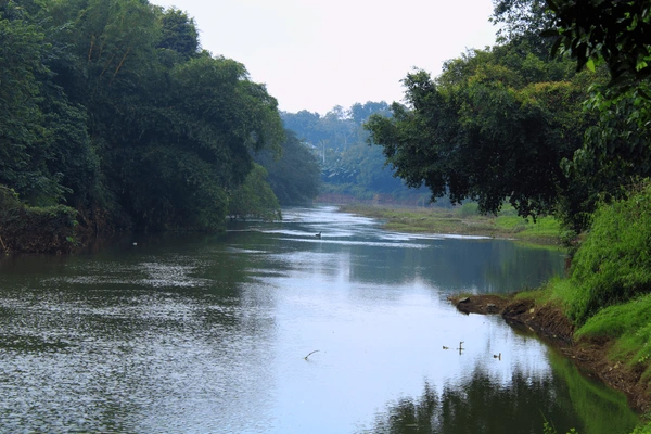 Achankovil River and Backwaters in Kollam