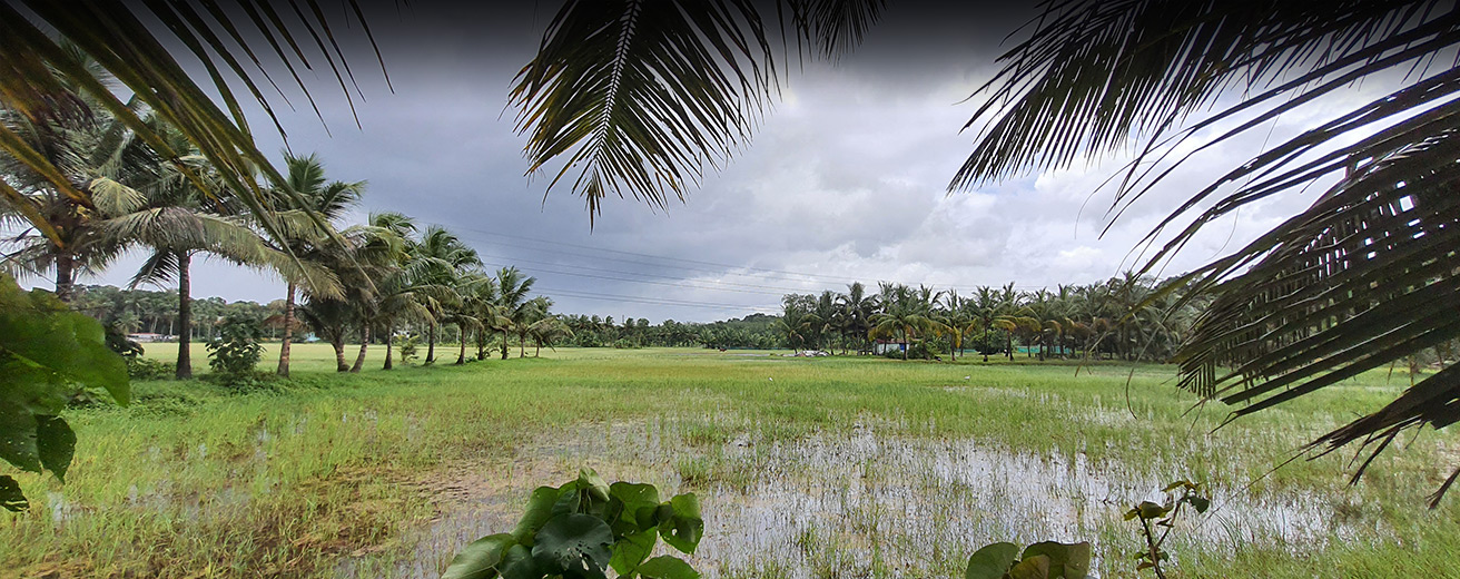 Clappana Village view