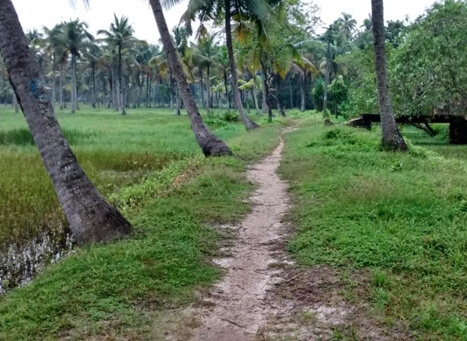  Clappana Village Kollam images