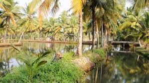 The most popular tourist attractions in Kerala