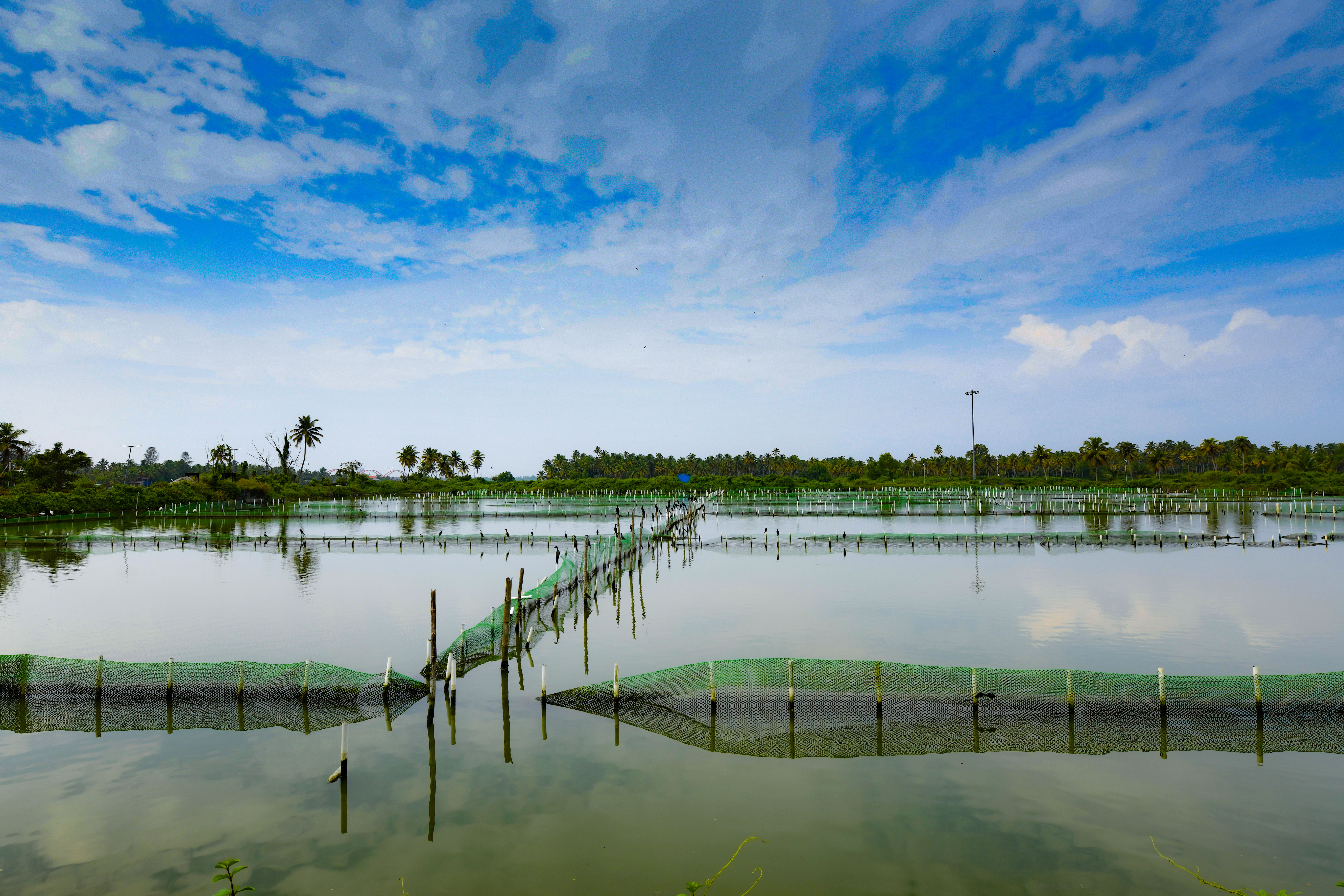 Clappana Village in Kollam