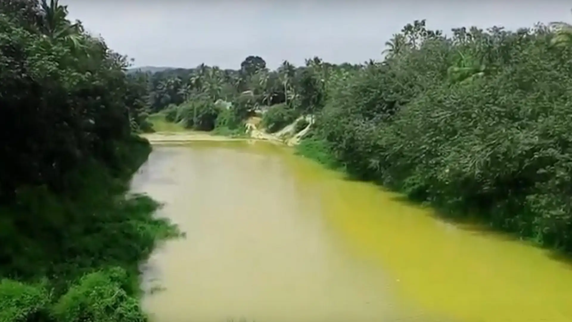 Ithikkara River view