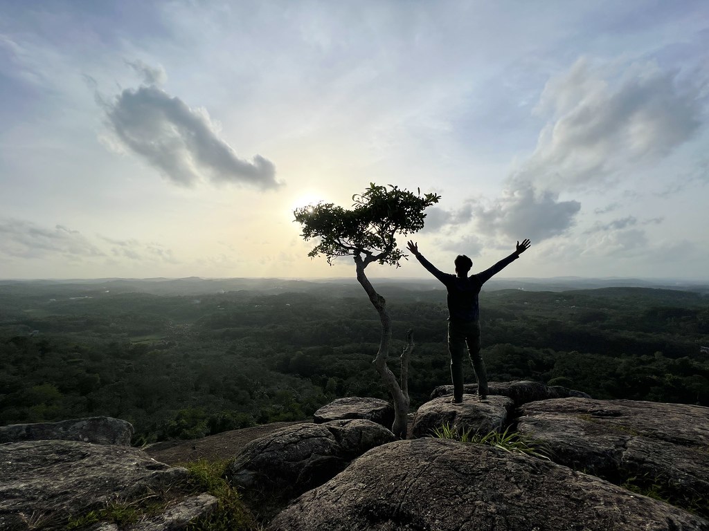 The most popular tourist attractions in Kerala