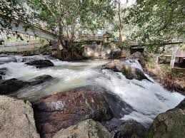 The most popular tourist attractions in Kerala