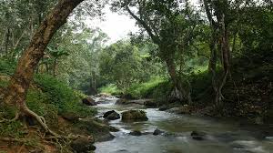 Meenpidipara view