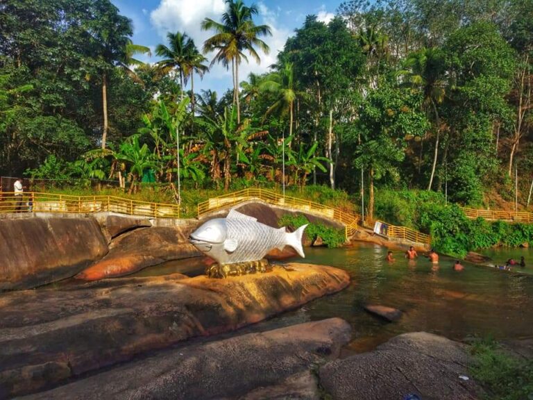  Meenpidipara Kollam images