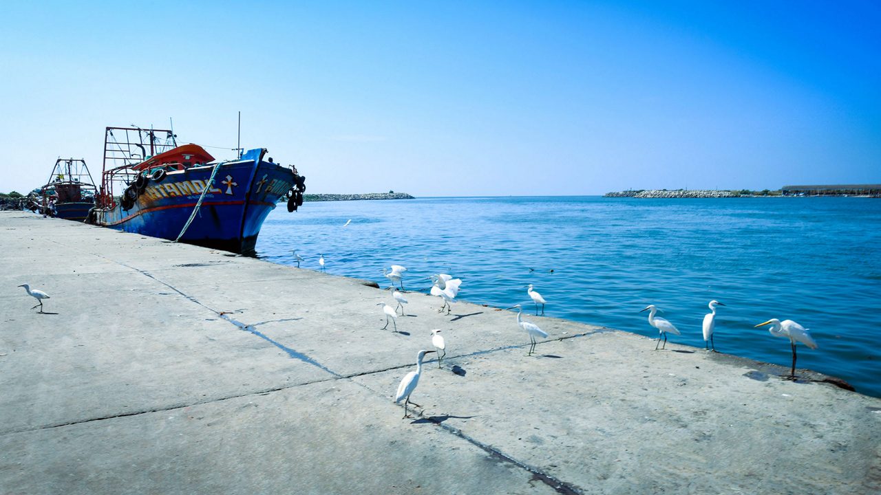 The most popular tourist attractions in Kerala