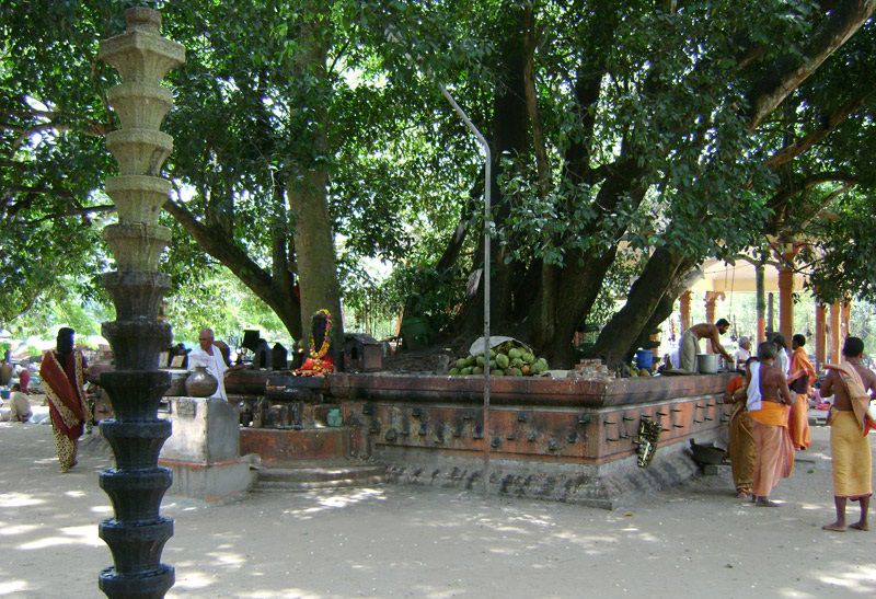  Oachira Parabrahma Temple Kollam images