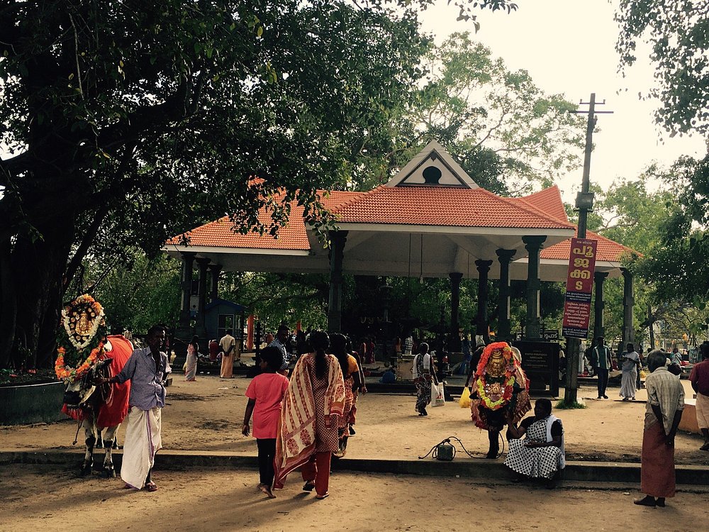 The most popular tourist attractions in Kerala