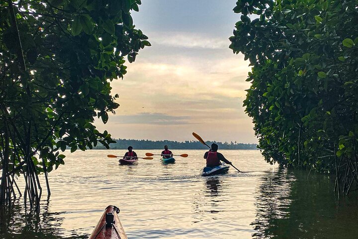 Paravur Lake and Backwaters in Kollam