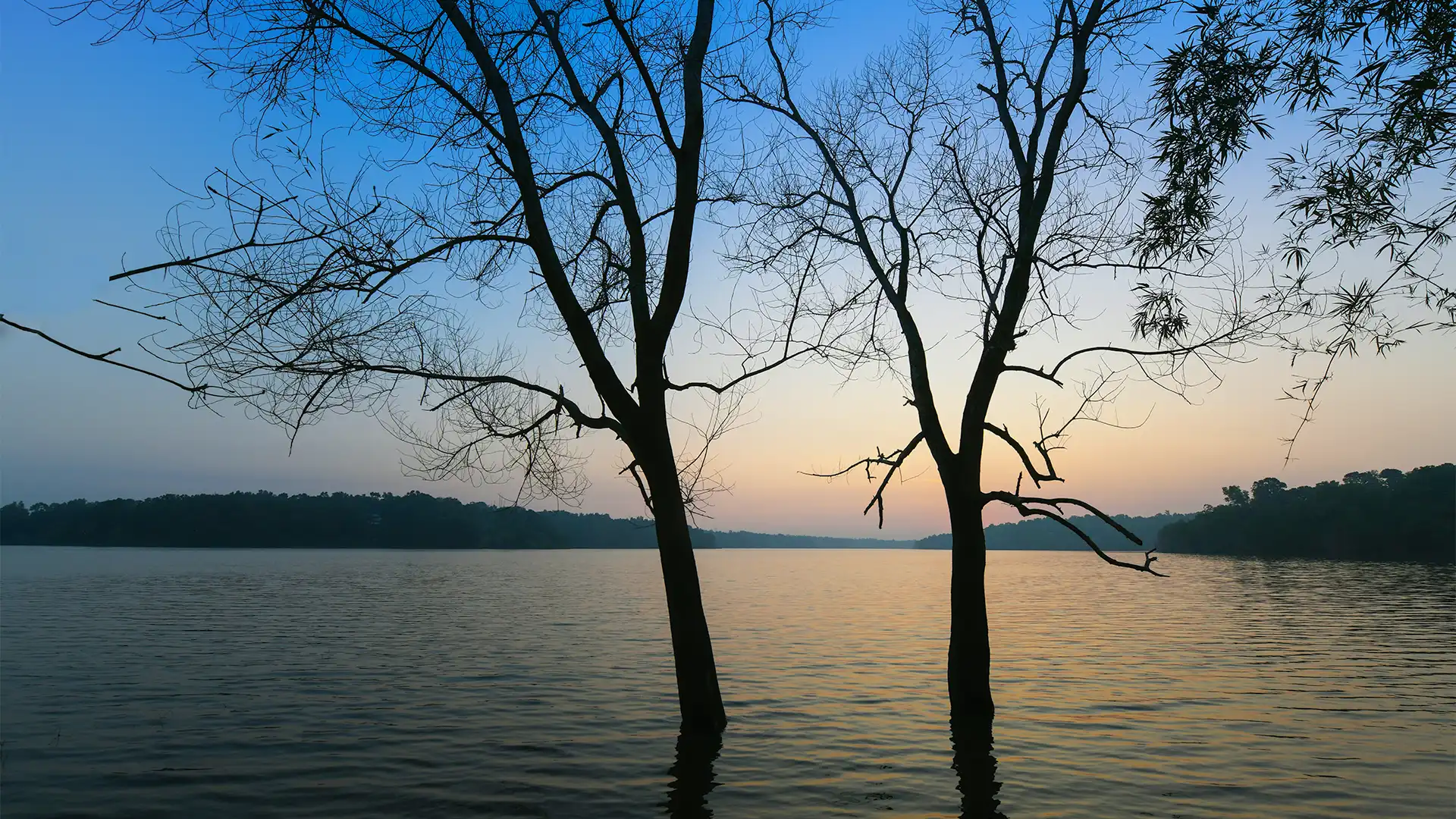  Sasthamkotta Lake  Kollam images