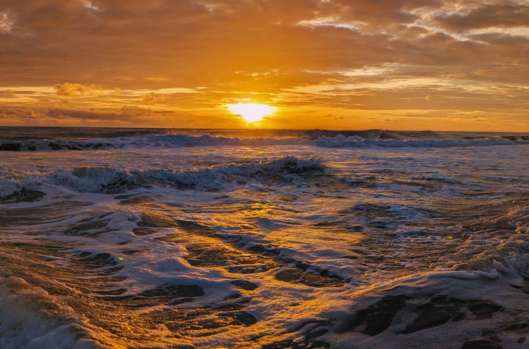  Thanni Beach  Kollam images