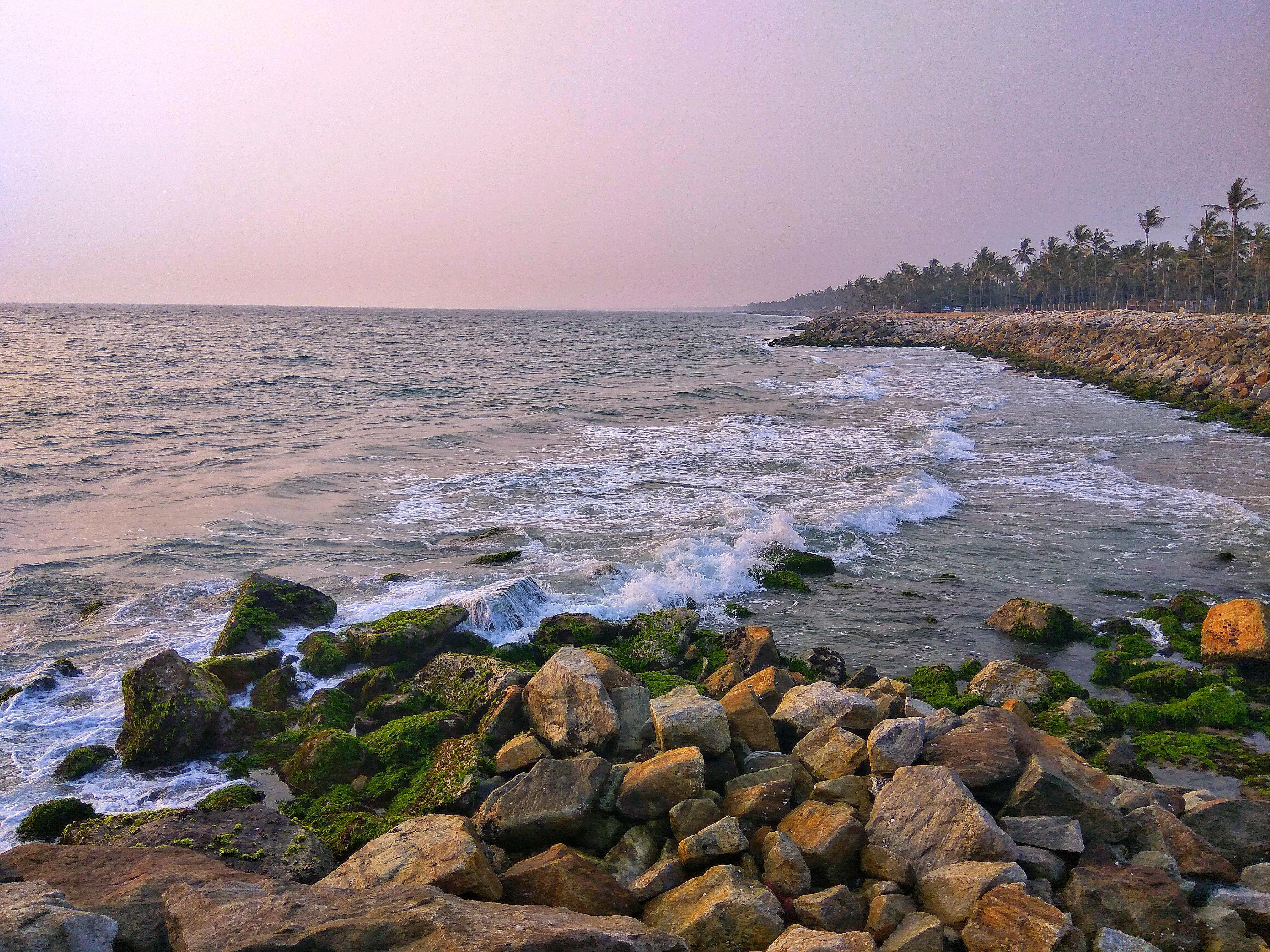 The most popular tourist attractions in Kerala