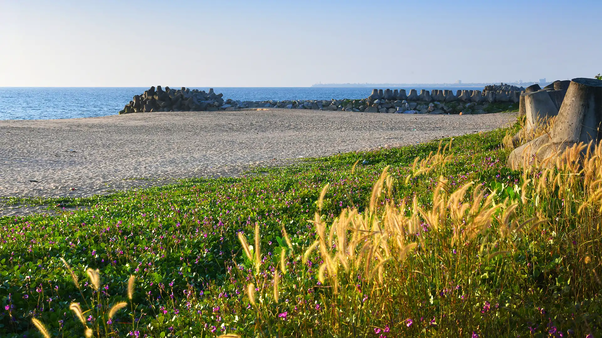 Thanni Beach in Kollam