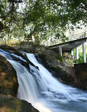 The most popular tourist attractions in Kerala