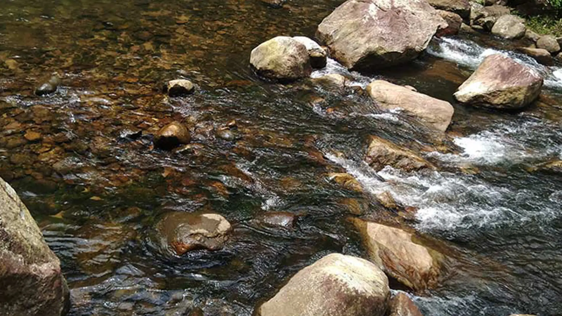 Vattathil Thangal Waterfalls in Kollam