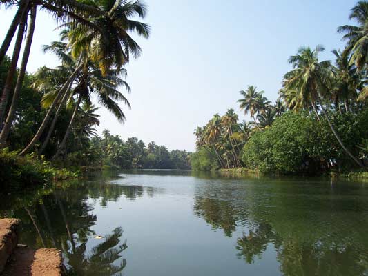 The most popular tourist attractions in Kerala